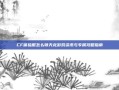 CF体验服怎么领天龙游戏资讯与专属攻略指南