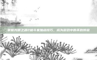 掌握光明之魂2格斗家加点技巧，成为游戏中的不败传说