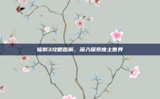 辐射3攻略图解，深入探索废土世界