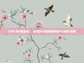 DNF传承合成，游戏玩法深度解析与进阶攻略