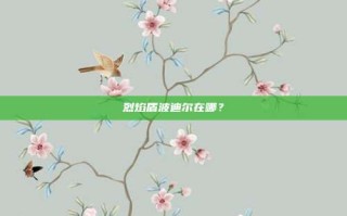 烈焰盾波迪尔在哪？