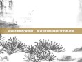 剑网3电脑配置指南，高效运行的游戏玩家必看攻略