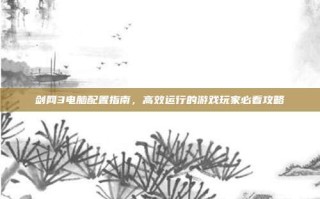剑网3电脑配置指南，高效运行的游戏玩家必看攻略