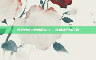无双大蛇2特别版DLC，终极战士的召唤