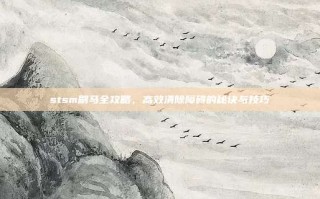 stsm刷马全攻略，高效清除障碍的秘诀与技巧