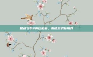 极品飞车9解压密码，解锁游戏新境界