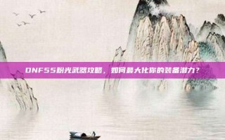DNF55粉光武器攻略，如何最大化你的装备潜力？