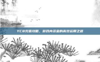 YC8充值攻略，游戏内资金的高效运用之道