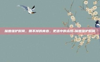 魔兽维护时间，删不掉的青春，更迭中的永恒-魔兽维护时间
