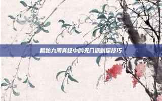 揭秘九阴真经中的无门派刺探技巧