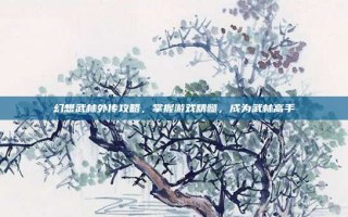 幻想武林外传攻略，掌握游戏精髓，成为武林高手
