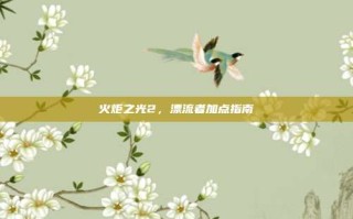 火炬之光2，漂流者加点指南