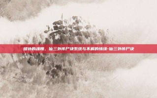 缝补的魂魄，仙三外传尸块系统与不解的情缘-仙三外传尸块