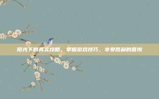 阳光下的真实攻略，掌握游戏技巧，享受胜利的喜悦