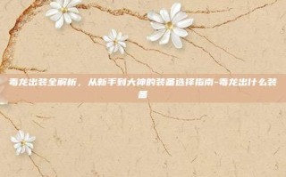 毒龙出装全解析，从新手到大神的装备选择指南-毒龙出什么装备