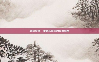 篮球经理，策略与技巧的完美结合