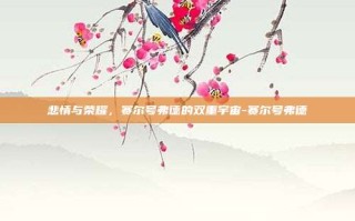 悲情与荣耀，赛尔号弗德的双重宇宙-赛尔号弗德