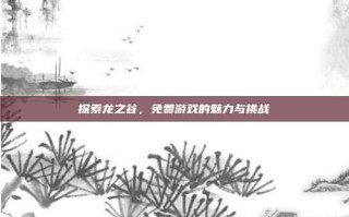 探索龙之谷，免费游戏的魅力与挑战