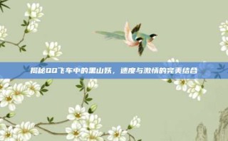 揭秘QQ飞车中的黑山妖，速度与激情的完美结合
