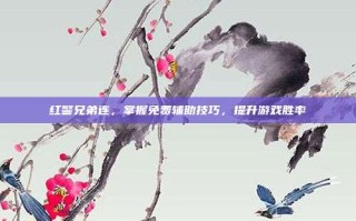 红警兄弟连，掌握免费辅助技巧，提升游戏胜率