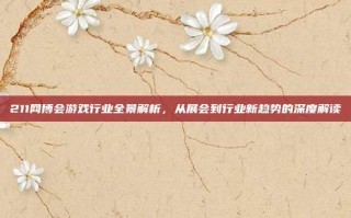 211网博会游戏行业全景解析，从展会到行业新趋势的深度解读