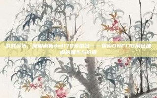 游戏资讯，深度解析dnf178模型站——探索DNF178角色建模的精华与价值