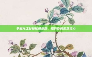 掌握龙之谷技能模拟器，提升你的游戏实力