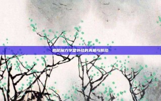 揭秘魔力学堂外挂的真相与防范