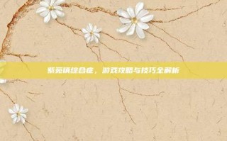 紫苑镇综合症，游戏攻略与技巧全解析