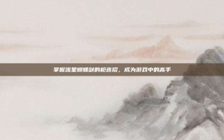 掌握流星蝴蝶剑的枪连招，成为游戏中的高手
