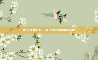龙之谷WCG，电子竞技的巅峰对决