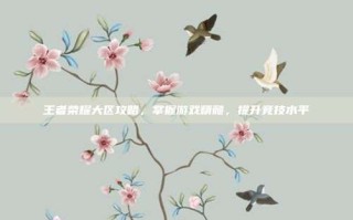 王者荣耀大区攻略，掌握游戏精髓，提升竞技水平