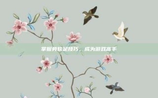 掌握劳软足技巧，成为游戏高手