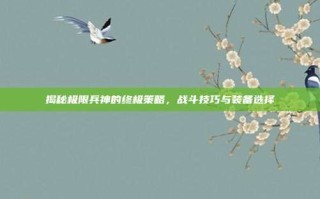 揭秘极限兵神的终极策略，战斗技巧与装备选择