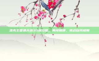 洛克王国通天塔30层攻略，勇闯巅峰，挑战自我极限