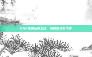 DNF宠物冰翼之魂，解锁游戏新境界