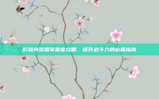 影踪突袭营军需官攻略，提升战斗力的必备指南