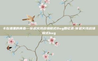 卡在墙里的青春—穿越火线战场模式Bug回忆录-穿越火线战场模式bug