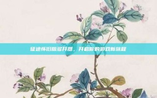 征途怀旧版多开器，开启你的游戏新旅程