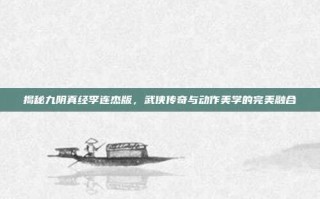 揭秘九阴真经李连杰版，武侠传奇与动作美学的完美融合