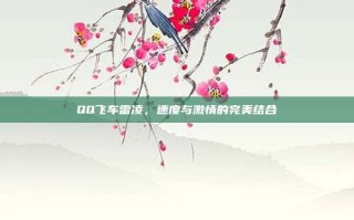 QQ飞车雷凌，速度与激情的完美结合