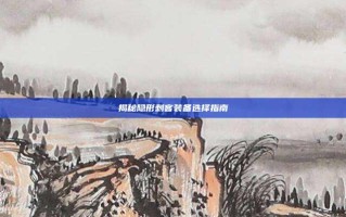 揭秘隐形刺客装备选择指南