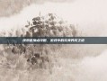 纯奶爸加点攻略，游戏中的完美养成之道