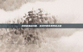纯奶爸加点攻略，游戏中的完美养成之道