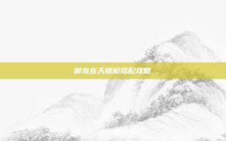 御龙在天银枪搭配攻略