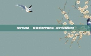 魔力学堂，最强称号的秘密-魔力学堂称号