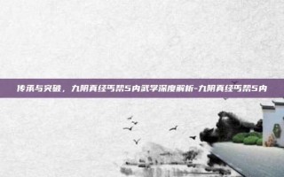 传承与突破，九阴真经丐帮5内武学深度解析-九阴真经丐帮5内