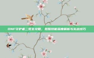 DNF守护者二觉全攻略，觉醒技能深度解析与实战技巧