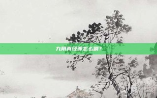 九阴真经邪怎么刷？