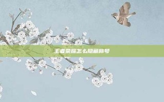 王者荣耀怎么隐藏称号